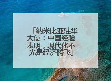 纳米比亚驻华大使：中国经验表明，现代化不光是经济腾飞