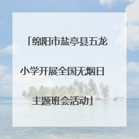 绵阳市盐亭县五龙小学开展全国无烟日主题班会活动