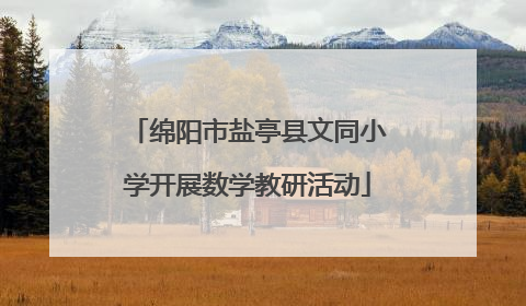 绵阳市盐亭县文同小学开展数学教研活动