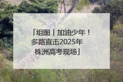 组图丨加油少年！多路直击2025年株洲高考现场