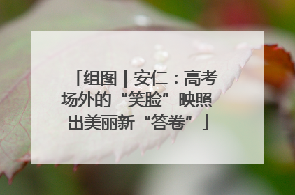 组图｜安仁：高考场外的“笑脸”映照出美丽新“答卷”