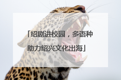绍剧进校园，多语种助力绍兴文化出海