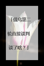 俄乌第二轮直接谈判谈了啥？