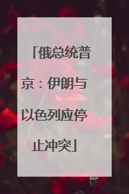 俄总统普京：伊朗与以色列应停止冲突
