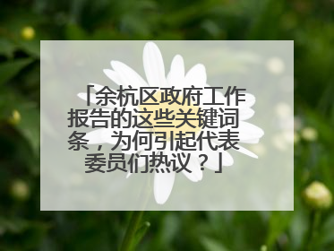 余杭区政府工作报告的这些关键词条，为何引起代表委员们热议？