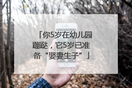 你5岁在幼儿园蹦跶，它5岁已准备“娶妻生子”
