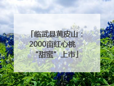 临武县黄皮山：2000亩红心桃“甜蜜”上市
