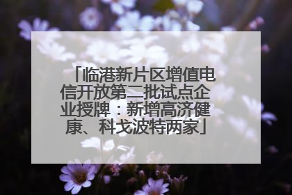 临港新片区增值电信开放第二批试点企业授牌：新增高济健康、科戈波特两家