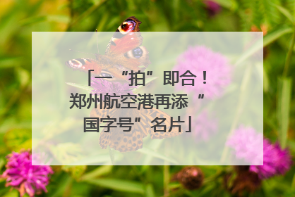 一“拍”即合！郑州航空港再添“国字号”名片