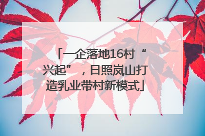 一企落地16村“兴起”，日照岚山打造乳业带村新模式