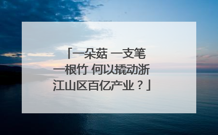 一朵菇 一支笔 一根竹 何以撬动浙江山区百亿产业？