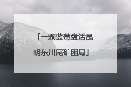 一颗蓝莓盘活昆明东川尾矿困局