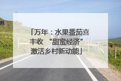 万年：水果番茄喜丰收 “甜蜜经济”激活乡村新动能