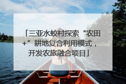 三亚水蛟村探索“农田+”耕地复合利用模式，开发农旅融合项目