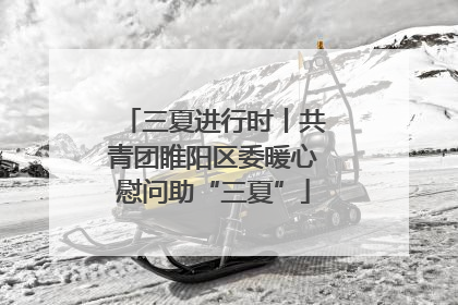三夏进行时丨共青团睢阳区委暖心慰问助“三夏”