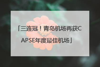 三连冠！青岛机场再获CAPSE年度最佳机场