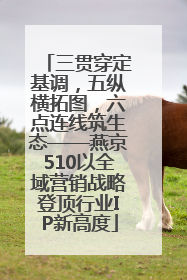 三贯穿定基调，五纵横拓图，六点连线筑生态——燕京510以全域营销战略登顶行业IP新高度