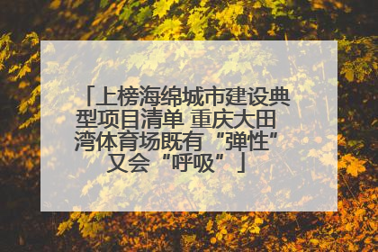 上榜海绵城市建设典型项目清单 重庆大田湾体育场既有“弹性”又会“呼吸”
