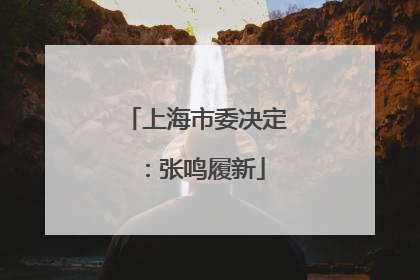 上海市委决定：张鸣履新