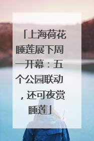 上海荷花睡莲展下周一开幕：五个公园联动，还可夜赏睡莲