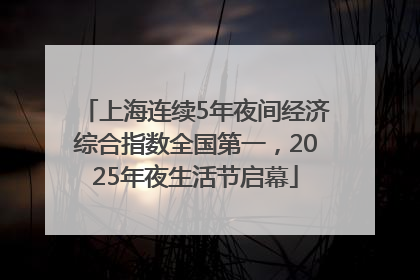 上海连续5年夜间经济综合指数全国第一，2025年夜生活节启幕