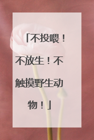 不投喂！不放生！不触摸野生动物！