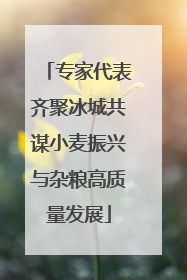专家代表齐聚冰城共谋小麦振兴与杂粮高质量发展