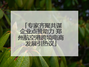 专家齐聚共谋 企业点赞助力 郑州航空港跨境电商发展引热议