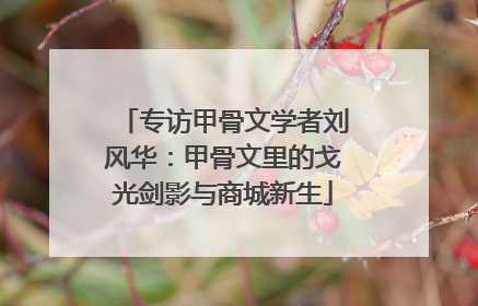 专访甲骨文学者刘风华：甲骨文里的戈光剑影与商城新生