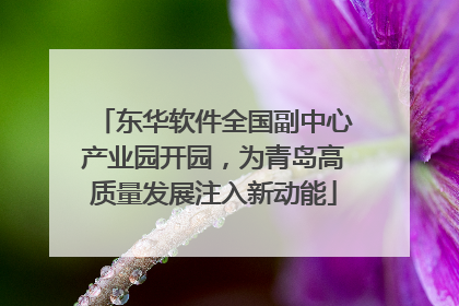 东华软件全国副中心产业园开园，为青岛高质量发展注入新动能