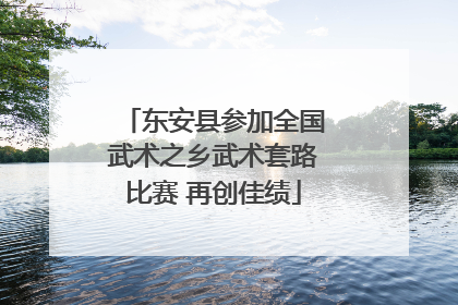 东安县参加全国武术之乡武术套路比赛 再创佳绩