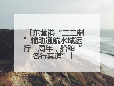 东营港“三三制”辅助通航水域运行一周年，船舶“各行其道”