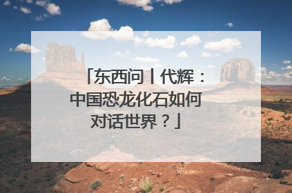 东西问丨代辉：中国恐龙化石如何对话世界？