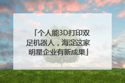个人能3D打印双足机器人，海淀这家明星企业有新成果