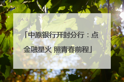 中原银行开封分行：点金融星火 照青春前程