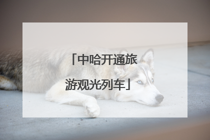 中哈开通旅游观光列车