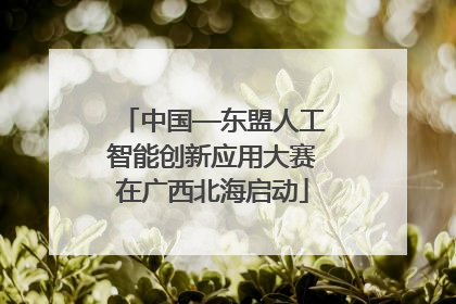 中国—东盟人工智能创新应用大赛在广西北海启动