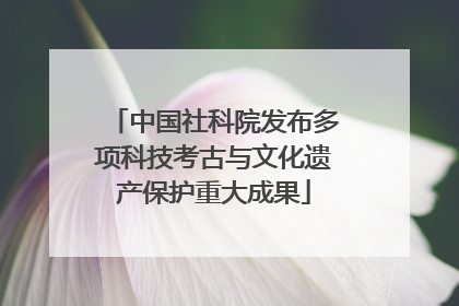 中国社科院发布多项科技考古与文化遗产保护重大成果