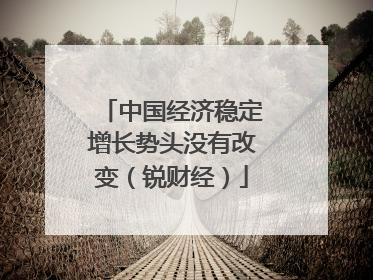 中国经济稳定增长势头没有改变（锐财经）