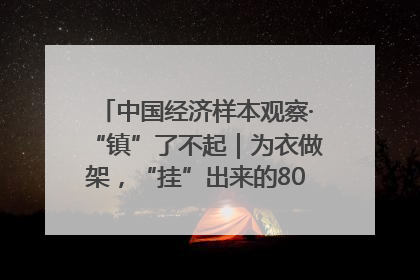 中国经济样本观察·“镇”了不起｜为衣做架，“挂”出来的80亿元“衣架产业”