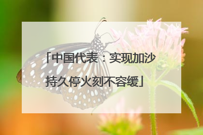 中国代表：实现加沙持久停火刻不容缓