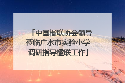 中国楹联协会领导莅临广水市实验小学调研指导楹联工作