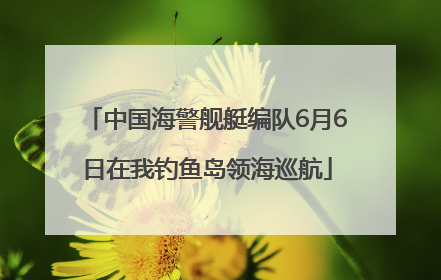 中国海警舰艇编队6月6日在我钓鱼岛领海巡航