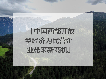 中国西部开放型经济为民营企业带来新商机