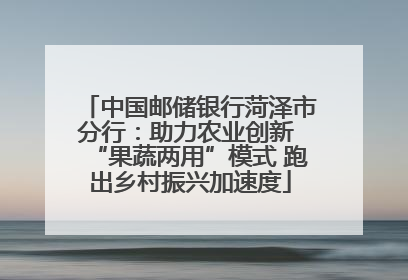 中国邮储银行菏泽市分行：助力农业创新 “果蔬两用”模式 跑出乡村振兴加速度
