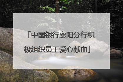 中国银行襄阳分行积极组织员工爱心献血