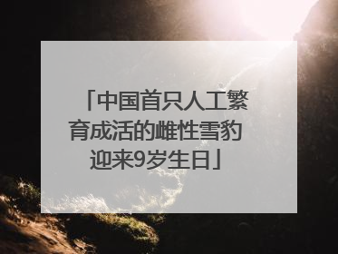 中国首只人工繁育成活的雌性雪豹迎来9岁生日