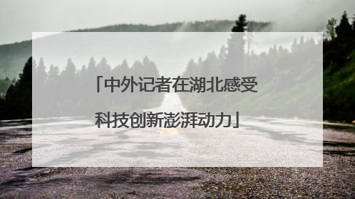 中外记者在湖北感受科技创新澎湃动力