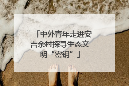 中外青年走进安吉余村探寻生态文明“密钥”