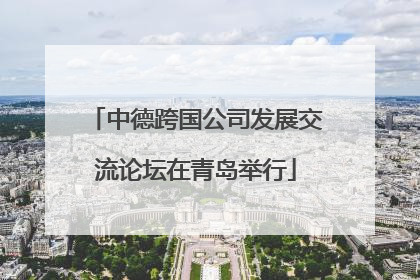 中德跨国公司发展交流论坛在青岛举行